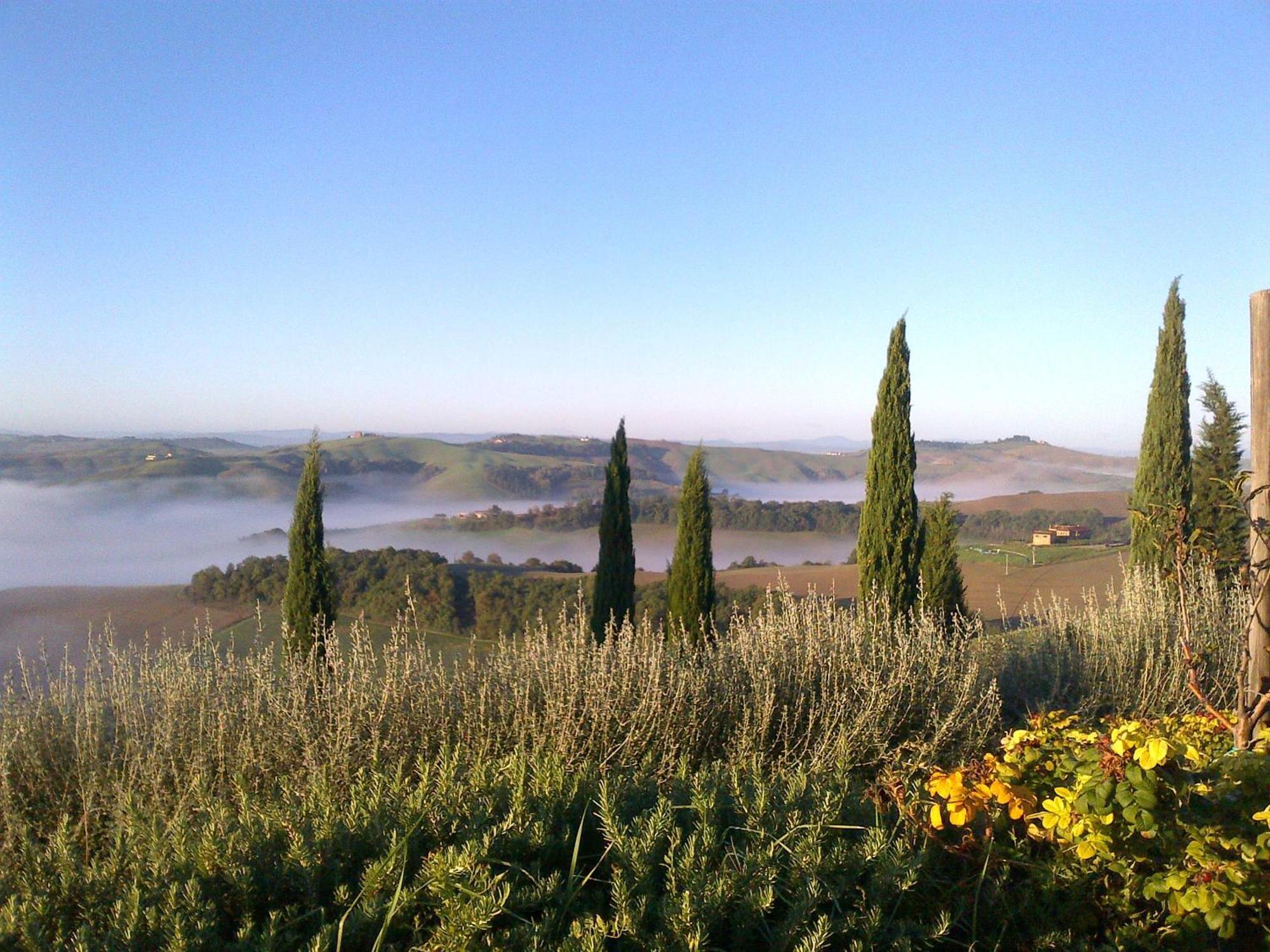 Podere Fornaci 아시아노 외부 사진